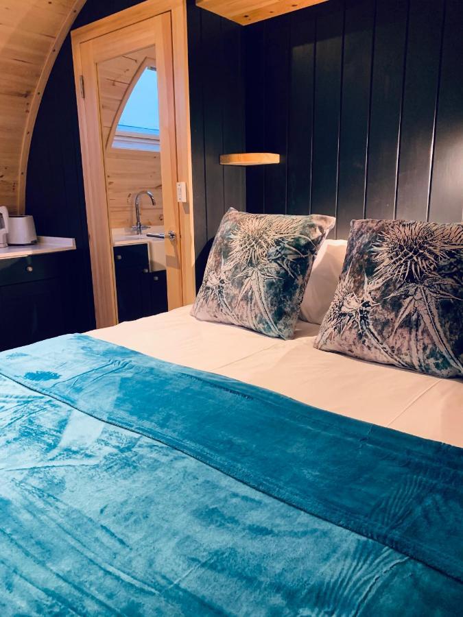 Galston  Thistle Pod Farm Stay With Hottub Sleeps 2 מראה חיצוני תמונה