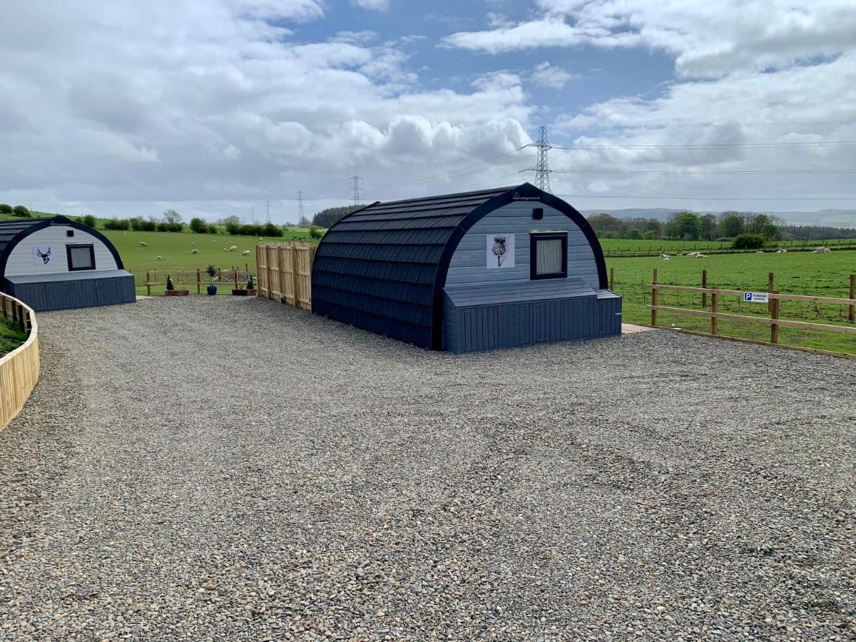 Galston  Thistle Pod Farm Stay With Hottub Sleeps 2 מראה חיצוני תמונה